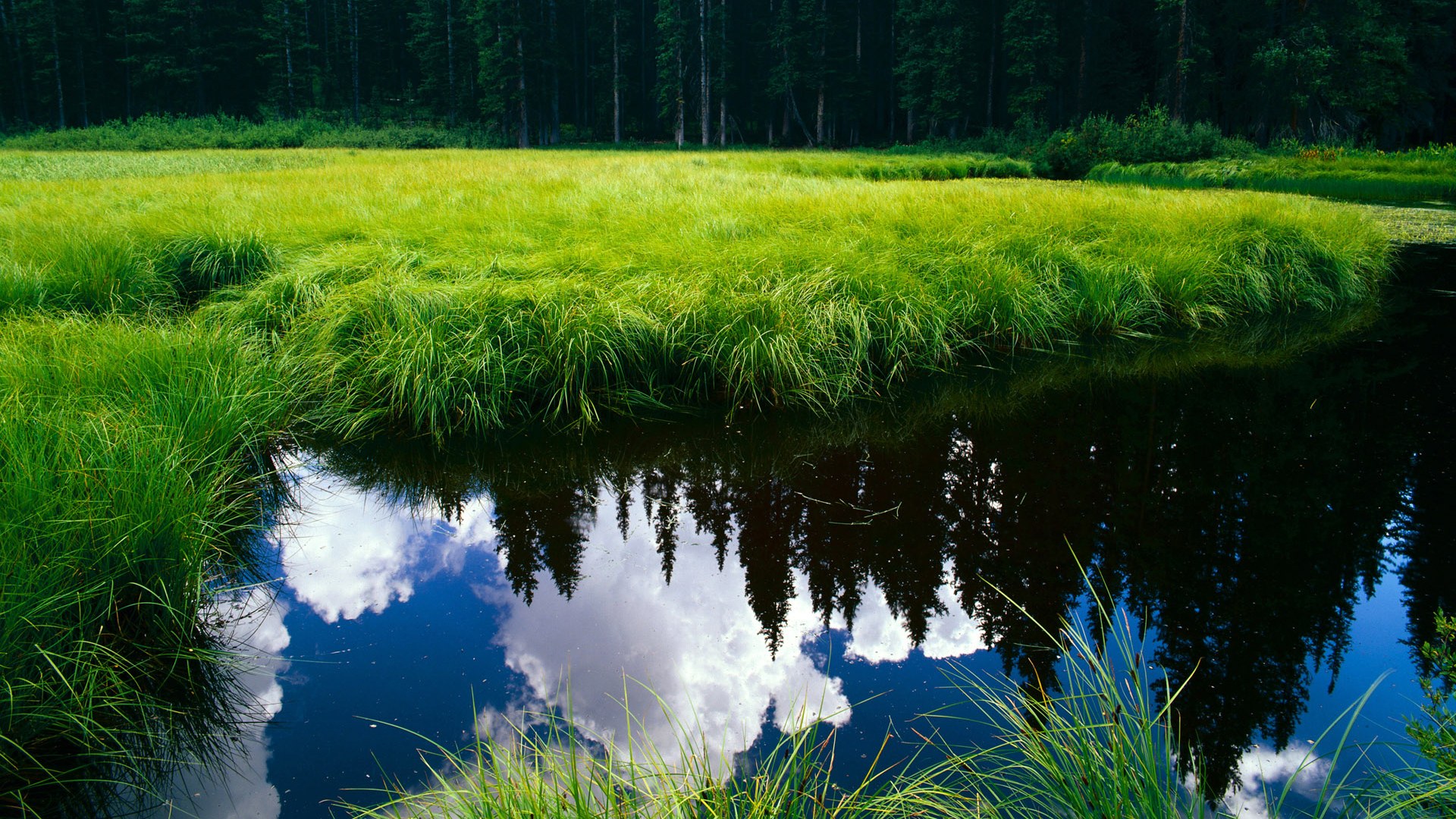 法比尼奥的奥德赛,一记重炮,罗马军团掀翻委内瑞拉战车