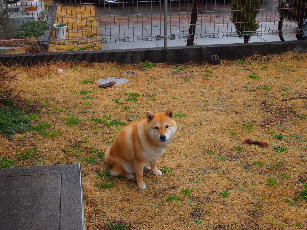 恩比德40分无解攻坚+制胜封盖，骑士队三战横扫北京队剑指总冠军