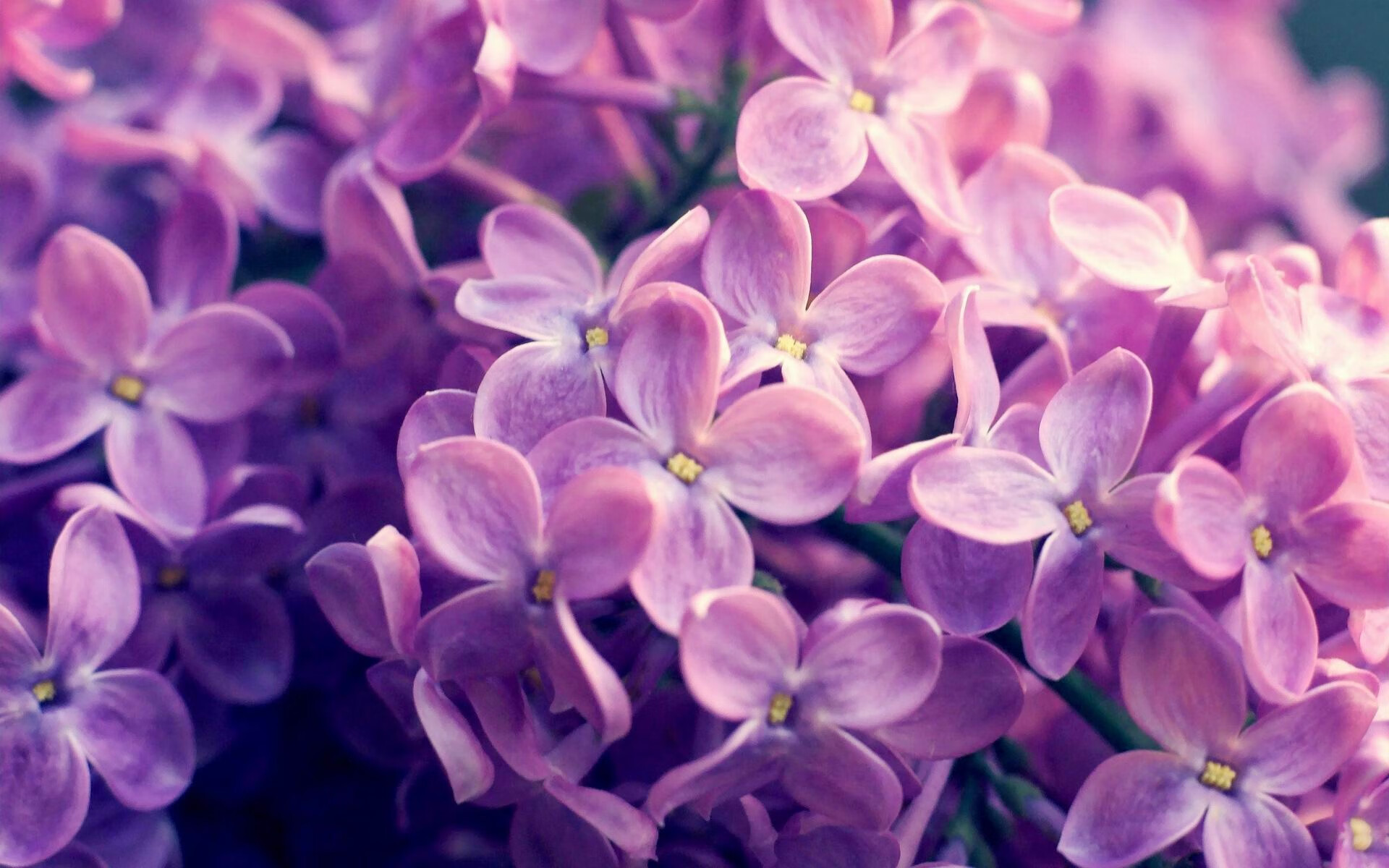 欧冠半决赛死刑的提前宣判，帕尔默三分钟击碎悬念