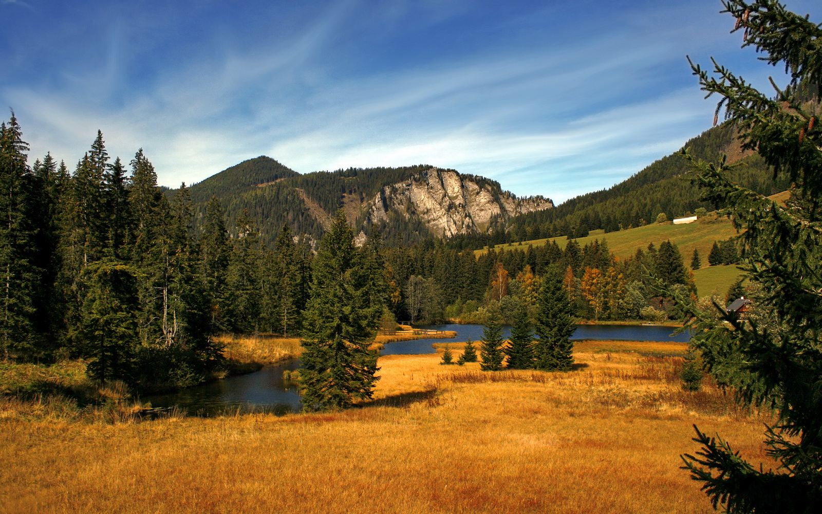 1.铁壁与神谕，葡萄牙用防守艺术锁死郁金香，库尔图瓦一夫当关