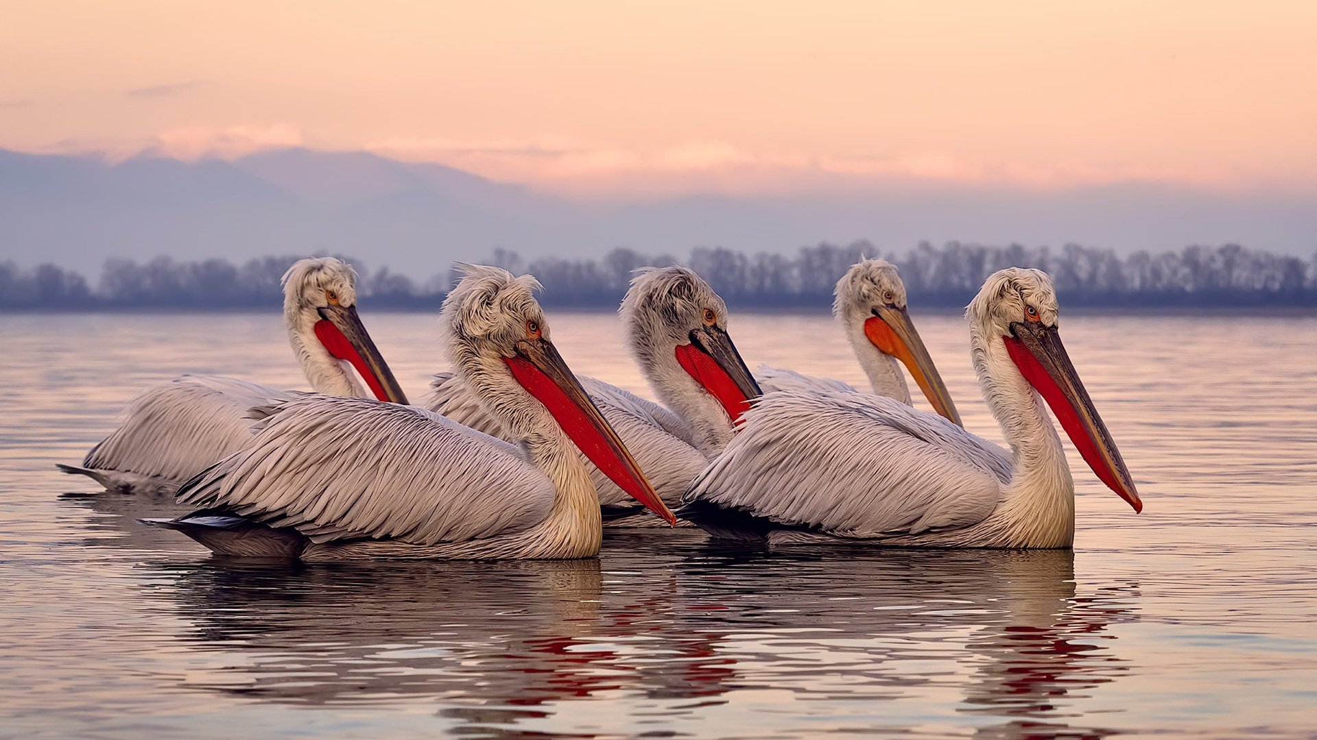 0.8秒涅槃，爱德华兹一投改写季后赛历史