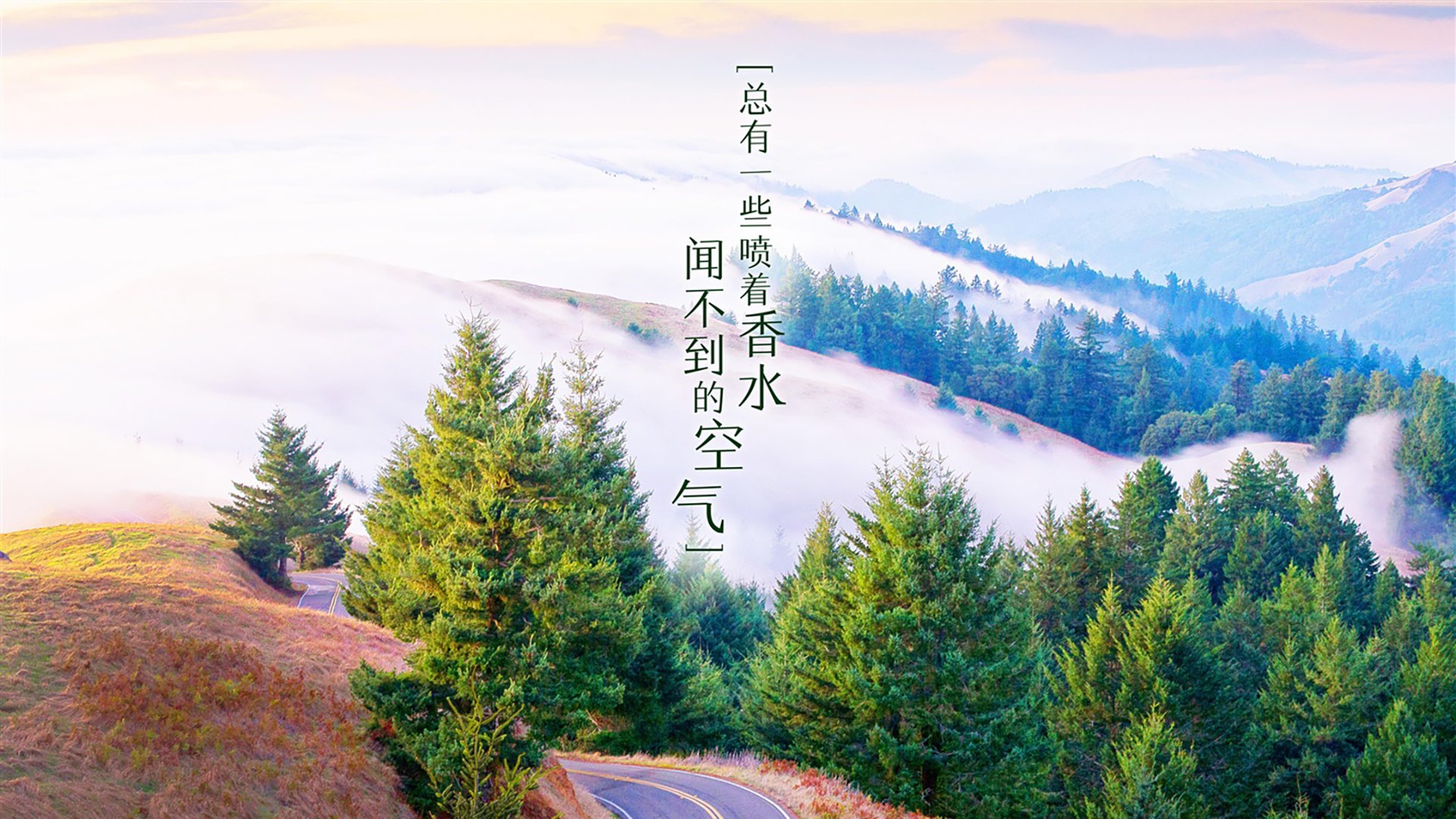 流星撕裂夜幕!拉梅洛45分助北京一波流带走国王