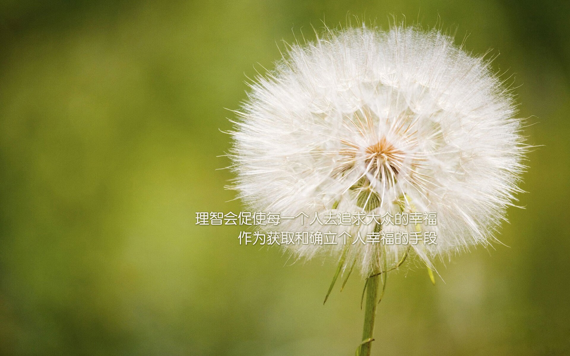 钢铁防线绞杀黑星,基米希的手术刀与智慧锁—解析战术博弈中的关键胜负手