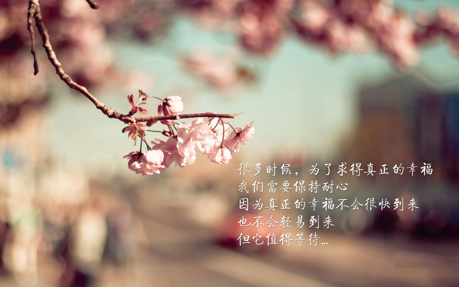 西非雄狮对决黄色潜水艇,一场提前上演的小世界杯—当塞内加尔的野性冲撞比利亚雷亚尔的精密齿轮