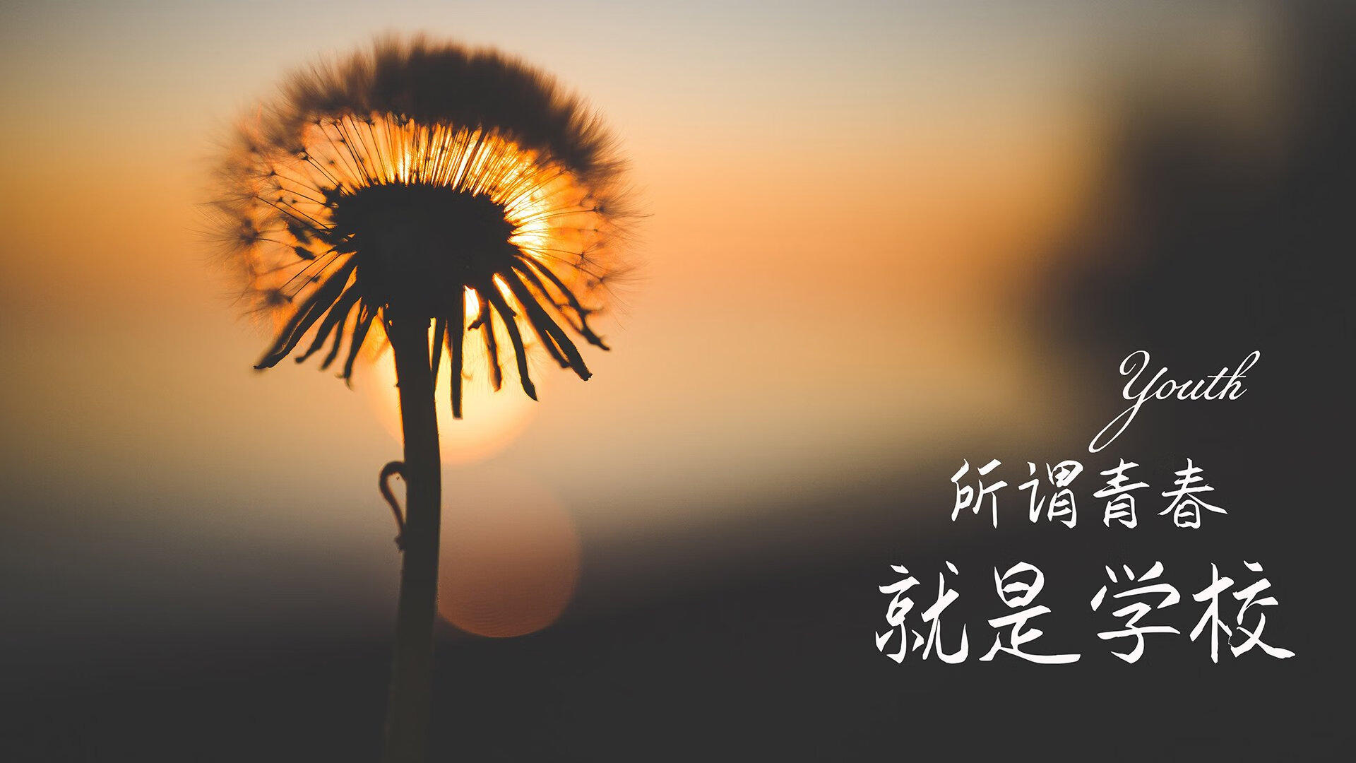 篮坛双城记,当东契奇挥舞达拉斯利剑,塔图姆在波士顿阴影中等待