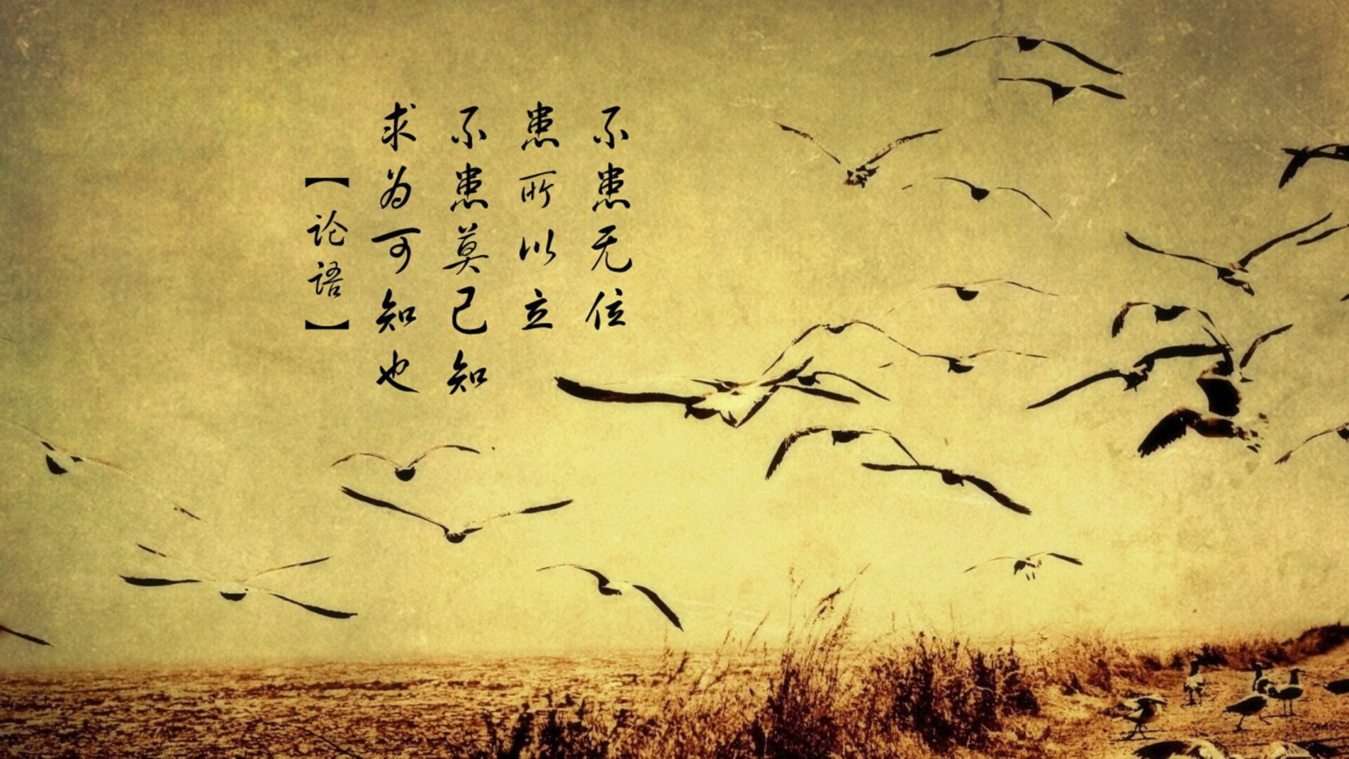 奥运周期关键战,魔术强行终结辽宁队焦点战纪实