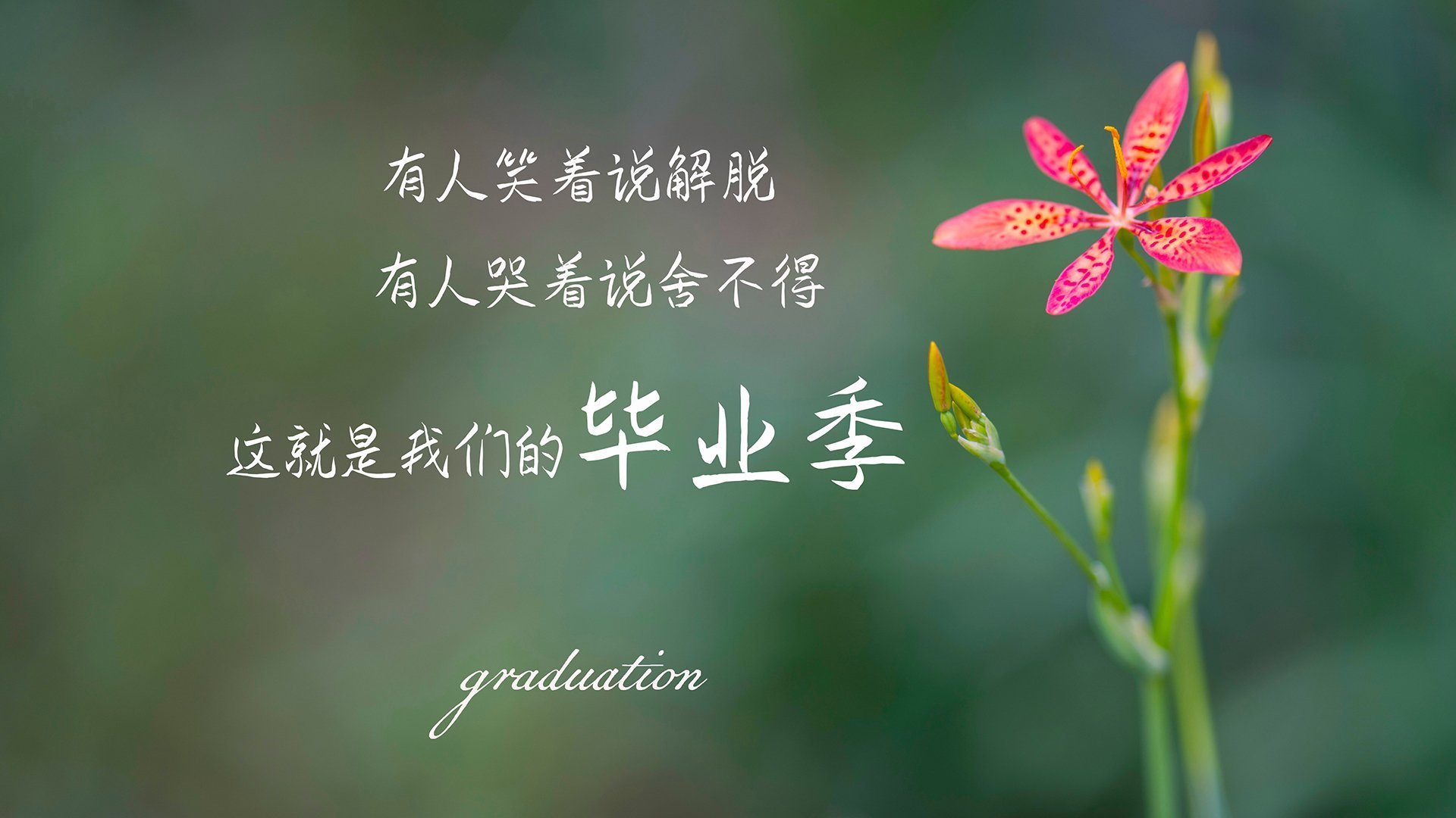 沙漠风暴席卷袋鼠之国，努涅斯独舞耀世，门神铸就叹息之墙，突尼斯演绎世界杯最强碾压